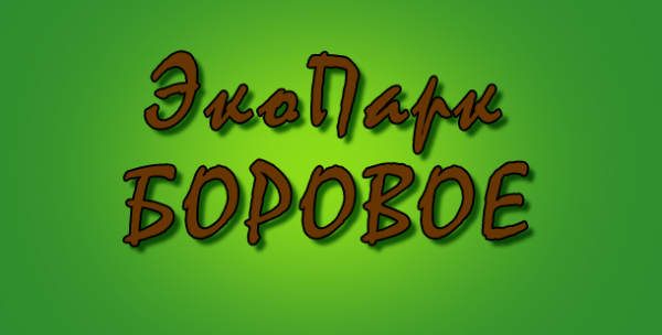 Логотип компании БОРОВОЕ