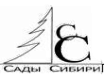 Логотип компании РаНТ